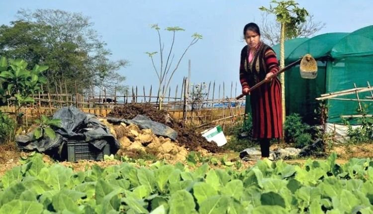 { टॉप 15 } गांव में सबसे ज्यादा चलने वाला बिजनेस 2025 - 15 Unique Business Ideas in Village