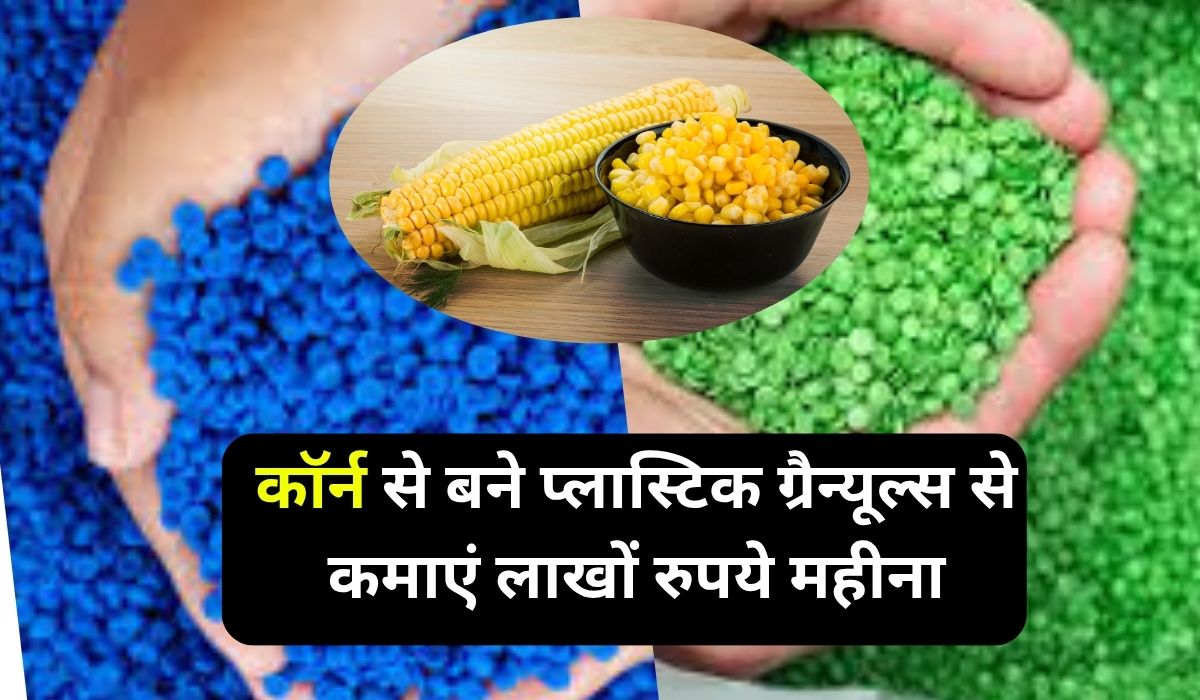 Work From Home:2025 का सबसे जबरदस्त स्टार्टअप आइडिया, कॉर्न से बने प्लास्टिक ग्रैन्यूल्स से कमाएं लाखों रुपये महीना