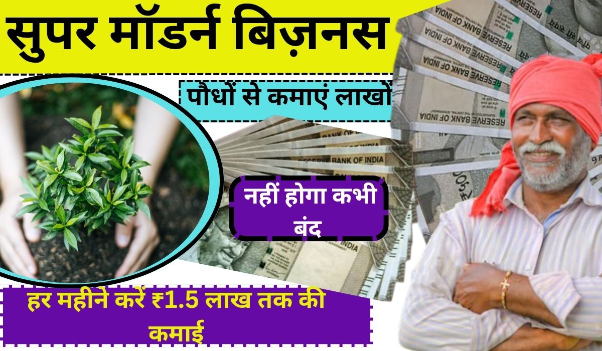 Plant Buisness Idea: पौधों से कमाएं लाखों! ऐसे शुरू करें अपना प्लांट नर्सरी बिजनेस और हर महीने करें ₹1.5 लाख तक की कमाई