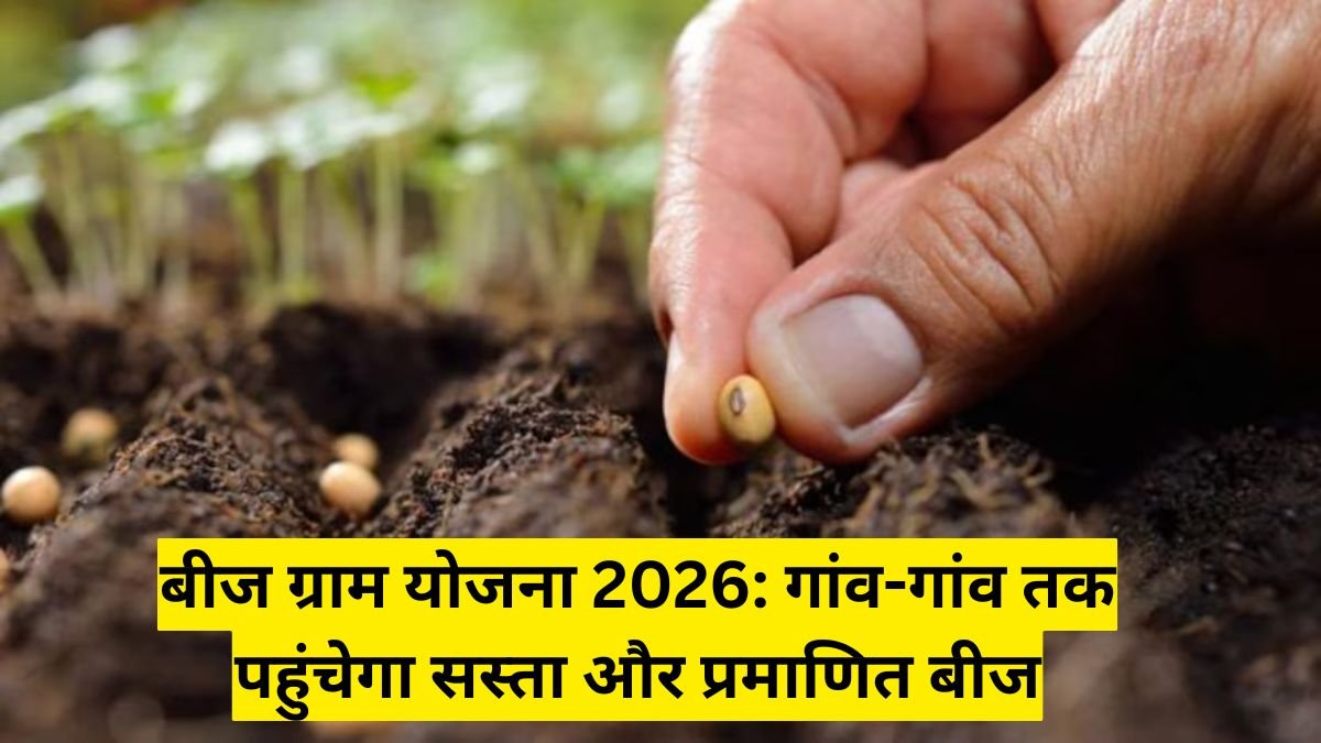 बीज ग्राम योजना 2026: गांव-गांव तक पहुंचेगा सस्ता और प्रमाणित बीज